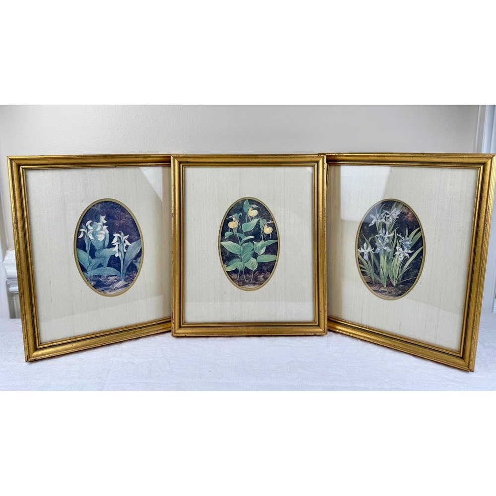 Vintage Botanical Floral Framed Art Set 3 Gold Wood Frames 10x12 Whimsigoth
